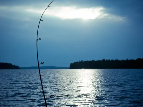 night fishing charters, Lake Erie